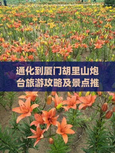 通化到厦门胡里山炮台团体旅游