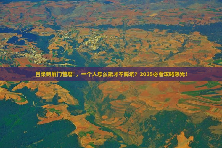 吕梁到厦门曾厝埯个人游