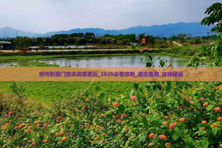 柳州到厦门鼓浪屿哪里玩
