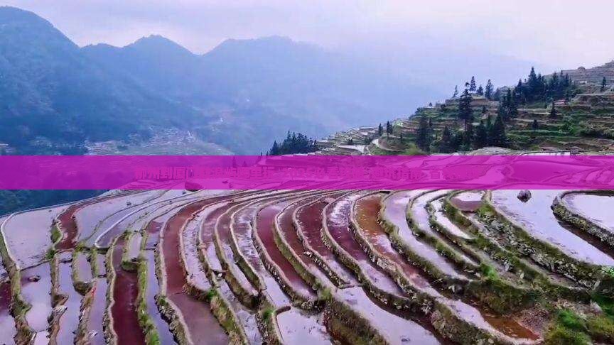 柳州到厦门鼓浪屿哪里玩