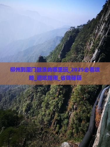 柳州到厦门鼓浪屿哪里玩