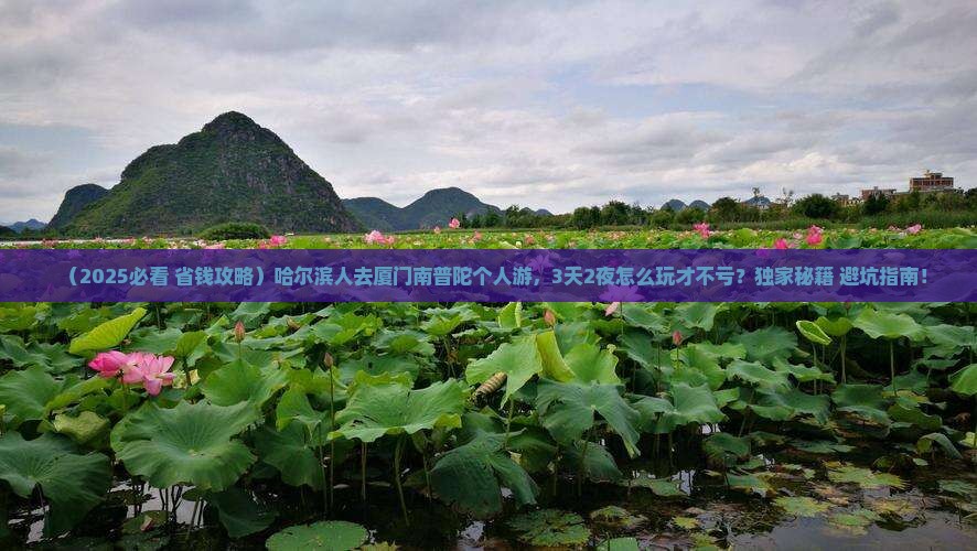 哈尔滨去厦门南普陀个人游