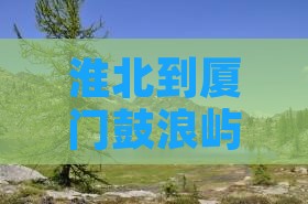 淮北到厦门鼓浪屿大型旅游团