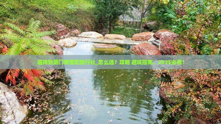 临猗到厦门南普陀旅行社
