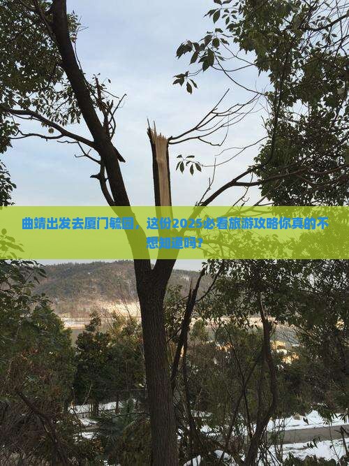 曲靖去厦门毓园大型旅游团