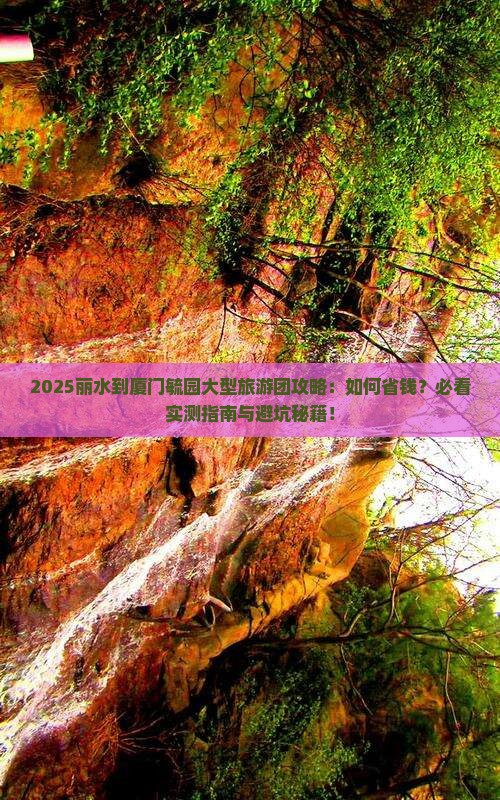 丽水到厦门毓园大型旅游团