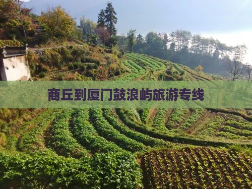 商丘到厦门鼓浪屿旅行社
