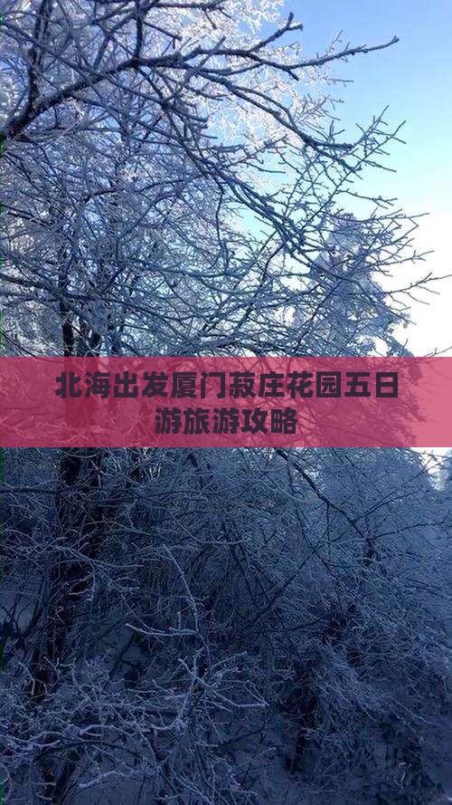北海去厦门菽庄花园五日游