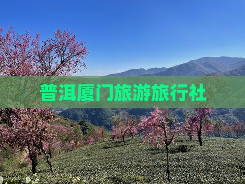 普洱去厦门旅行社