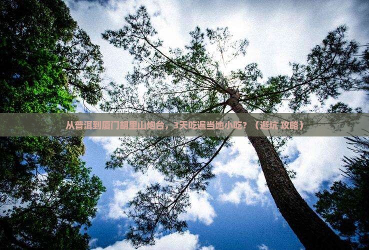 普洱到厦门胡里山炮台旅游小吃