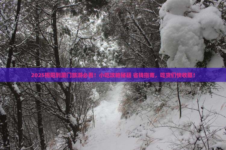 揭阳到厦门旅游小吃