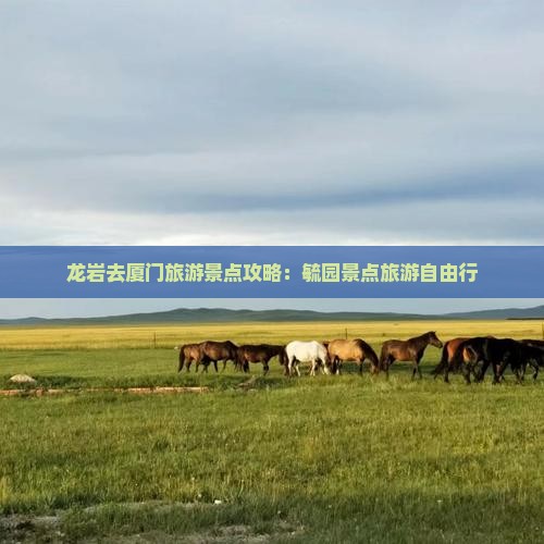 龙岩去厦门毓园自由行