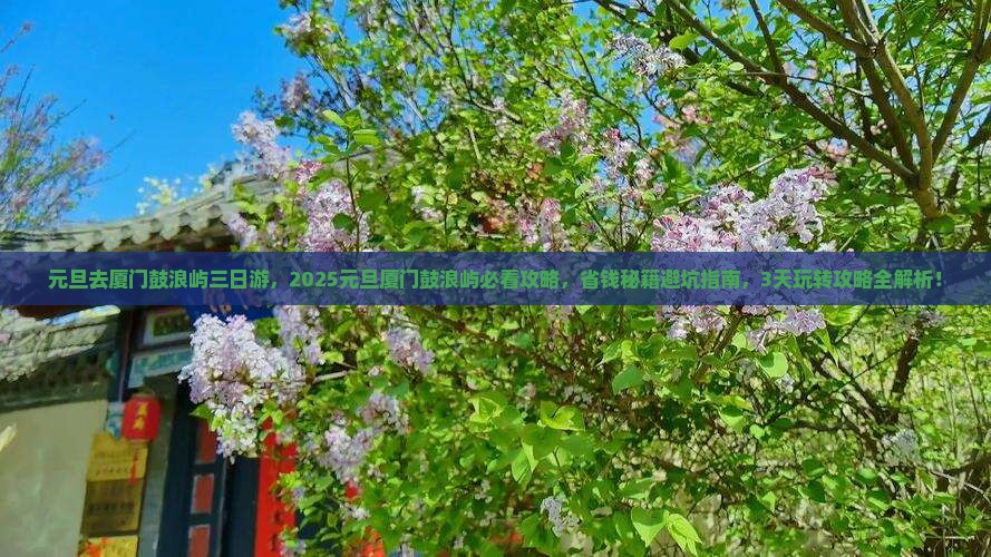 元旦去厦门鼓浪屿三日游