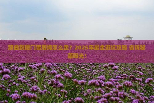那曲到厦门曾厝埯旅行社