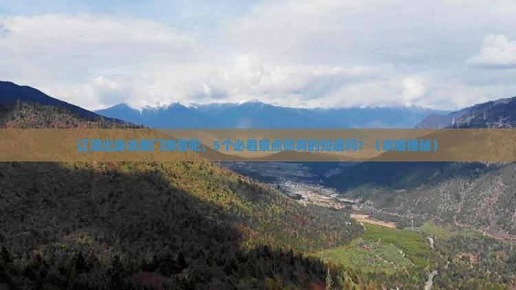 辽源去厦门南普陀旅行社