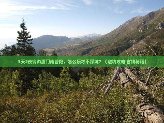 一月去厦门南普陀一日 一月去厦门南普陀一日