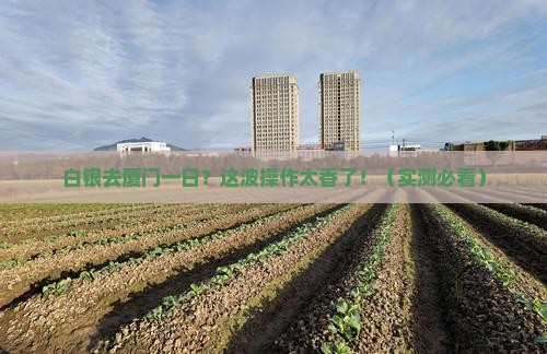 白银去厦门一日