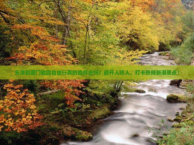 天津到厦门毓园自由行