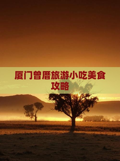 天津到厦门曾厝埯旅游小吃