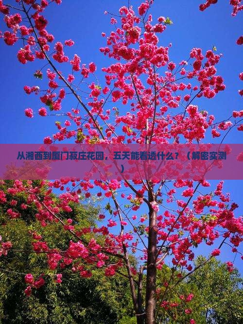 湘西到厦门菽庄花园五日游