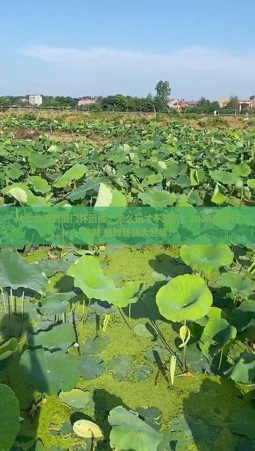 七台河到厦门怀远楼自由行