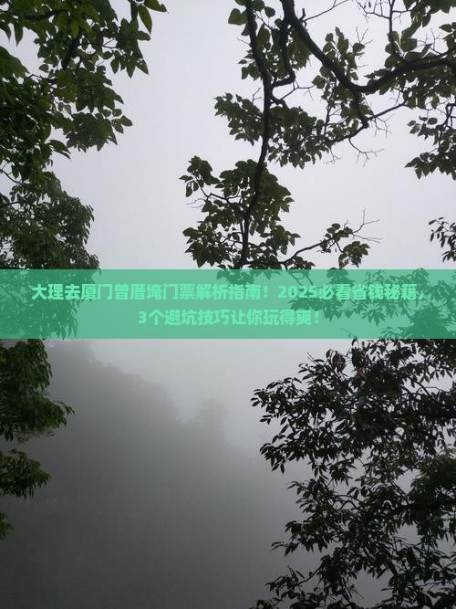 大理去厦门曾厝埯门票