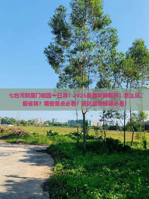 七台河到厦门毓园一日