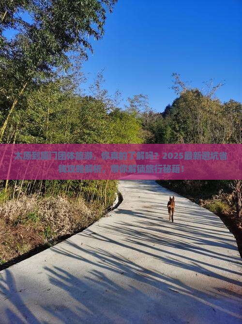 太原到厦门团体旅游