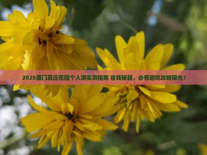 济源去厦门菽庄花园个人游