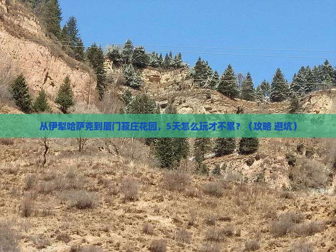 伊犁哈萨克到厦门菽庄花园自由行