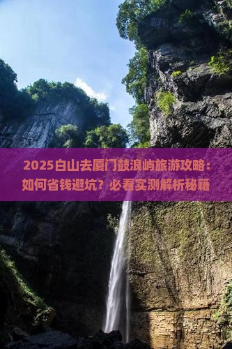 白山去厦门鼓浪屿旅游