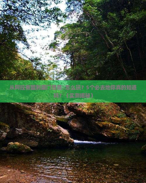 阿拉善盟到厦门曾厝埯必去地