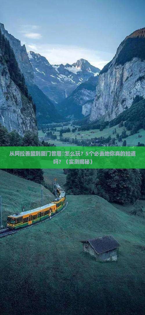 阿拉善盟到厦门曾厝埯必去地