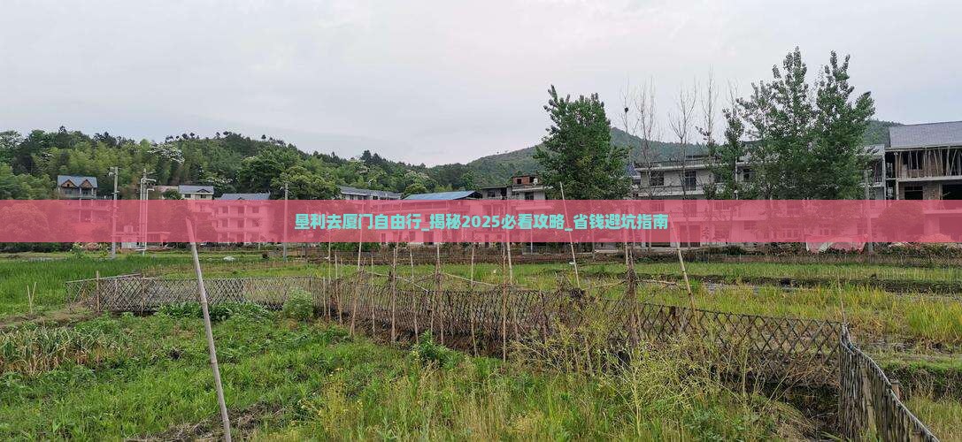 垦利去厦门自由行