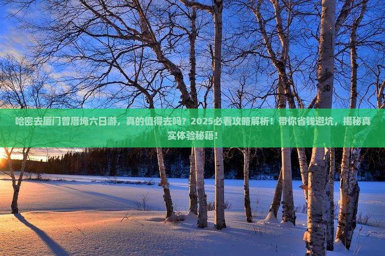 哈密去厦门曾厝埯六日游