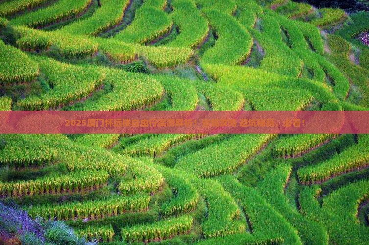 朝阳到厦门怀远楼自由行