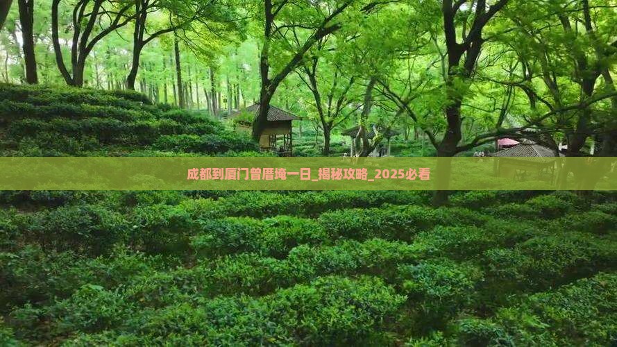成都到厦门曾厝埯一日