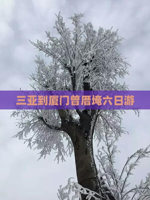 三亚到厦门曾厝埯六日游