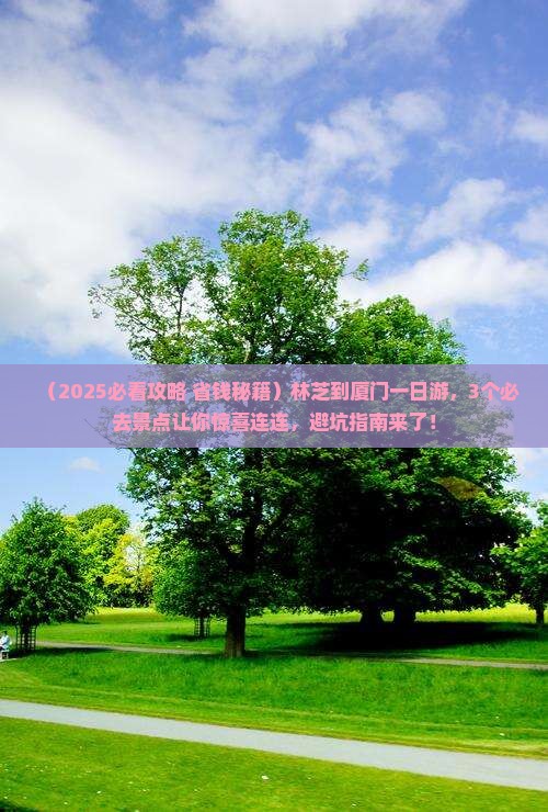 林芝到厦门一日