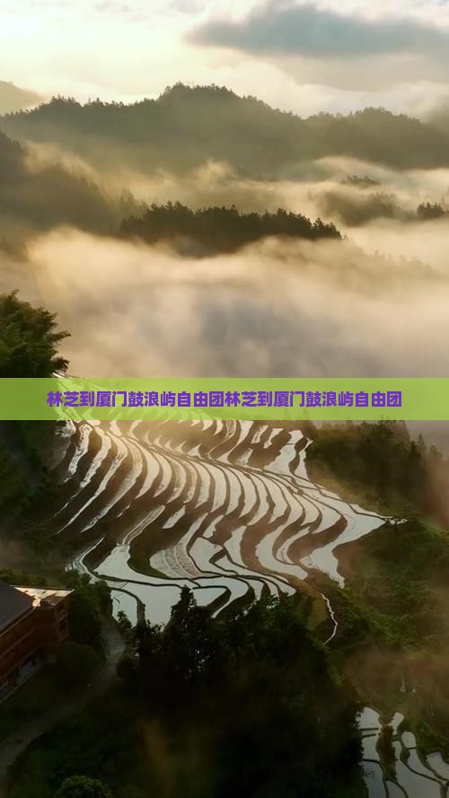 林芝到厦门鼓浪屿自由团