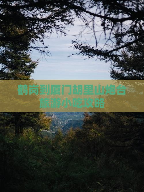 鹤岗到厦门胡里山炮台旅游小吃