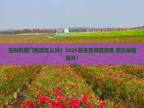 玉树到厦门毓园大型旅游团