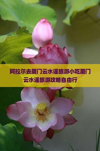 阿拉尔去厦门云水谣旅游小吃 阿拉尔去厦门云水谣旅游小吃