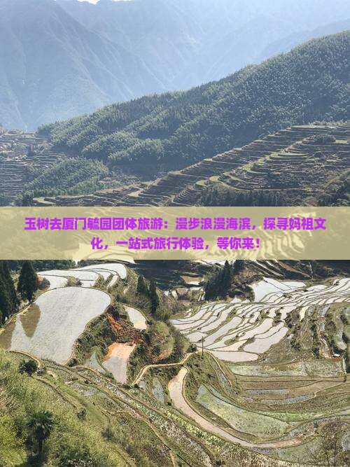 玉树去厦门毓园团体旅游