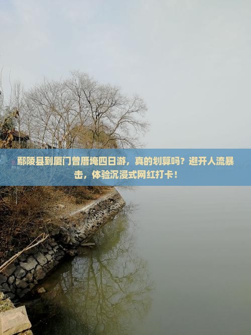 鄢陵县到厦门曾厝埯四日游