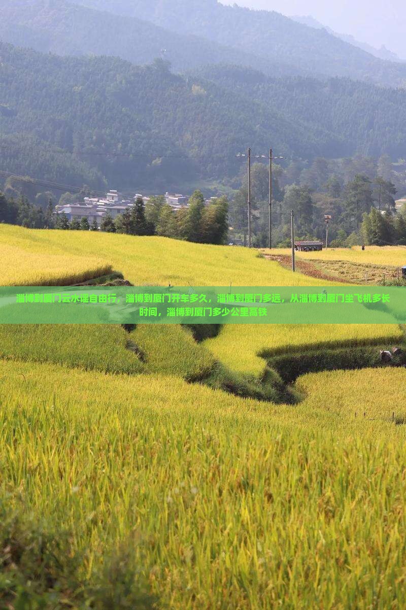 淄博到厦门云水谣自由行