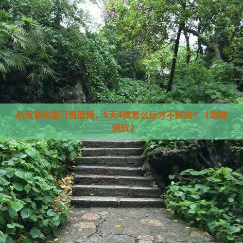 思茅到厦门曾厝埯团体旅游