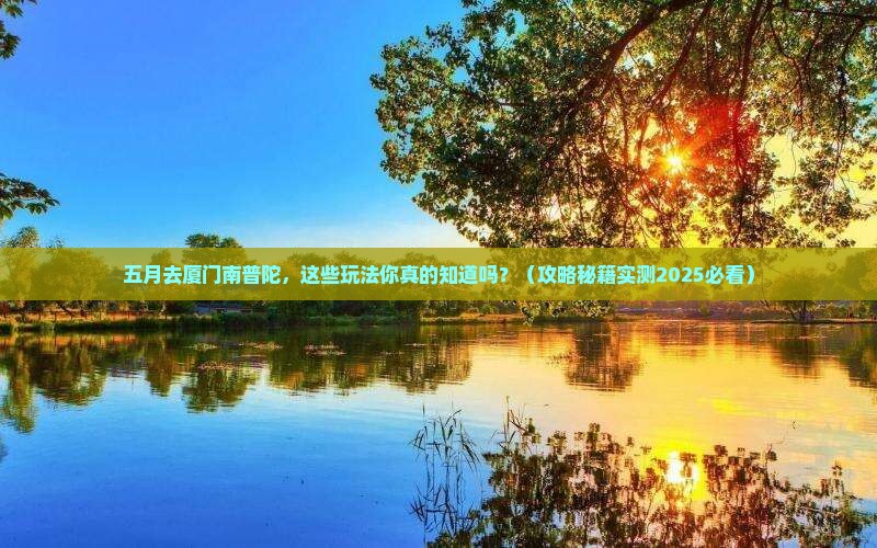 五月到厦门南普陀哪里玩