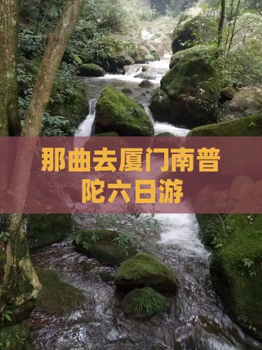 那曲去厦门南普陀六日游