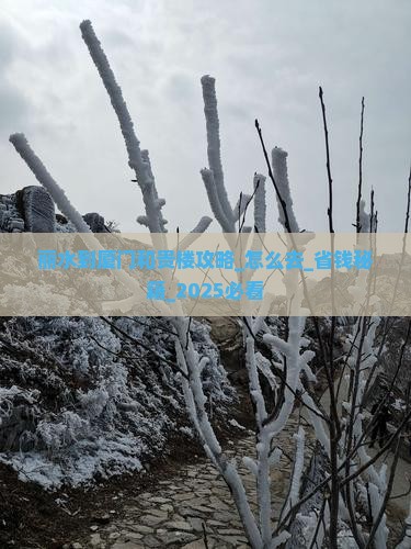 丽水到厦门和贵楼攻略